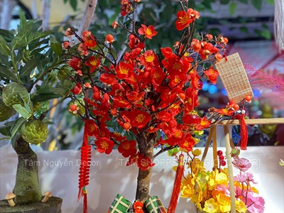 Cây Mai Đào thân gỗ để bàn [Tỉ mỉ - Nhẹ] C50cm CAYCANH-TET-01